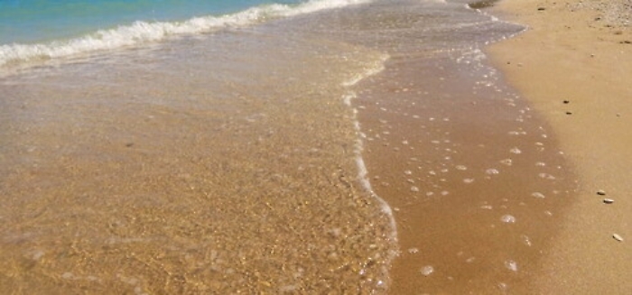 150731403-046902eb-87c4-4864-a787-d514baf696ba