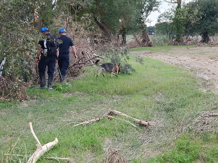 2022-10-17_117400345_1665998273956