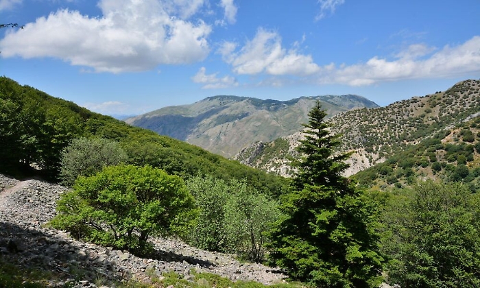 172416982-7fa94abc-3dfa-431d-ac94-0591b33b9928