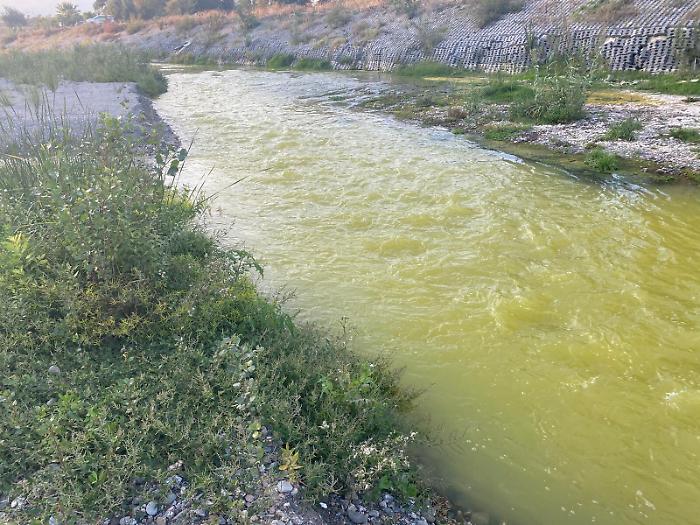 161808147-4322e761-5f9f-44e4-90a5-eb07c03e55c7