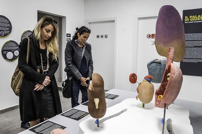 2022-10-19_119392636_1666183112282