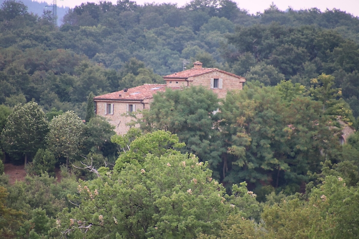 2022-10-21_121436692_1666370755981