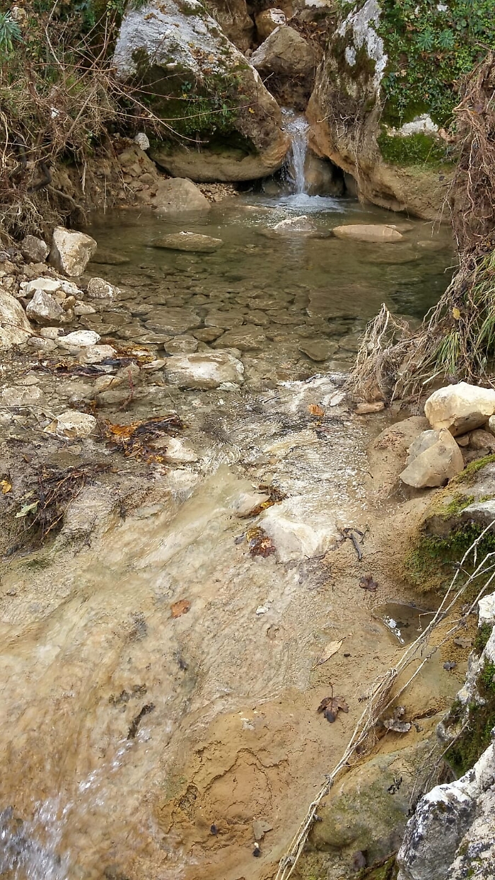 172759455-84d835ec-8234-4f69-973e-80ef08503114