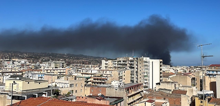 125955068-070980f6-8645-4b6a-9ebe-8bf69bb37bd3