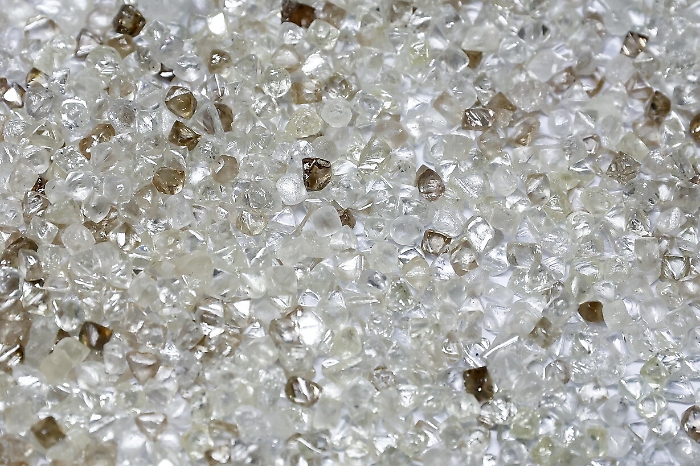 2022-10-25_125407792_1666686740418