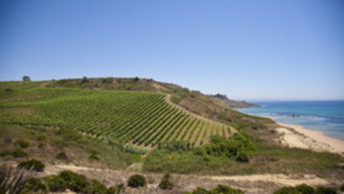 110725577-ae4d7205-cbc6-4e05-90ae-1e08818cf6f4