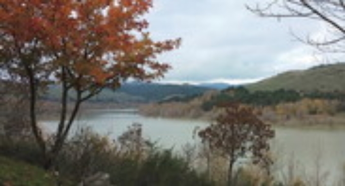 171401708-52a60e96-09d3-4a2a-97be-a9aba3739978