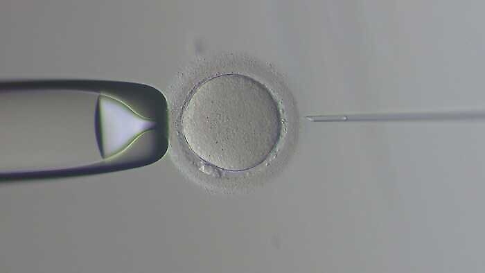 104529945-fd85d66e-903e-4dfa-aa44-e101266b32d1