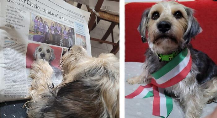 110345229-cd89a9dd-d02f-4082-83ea-839e54823fb4