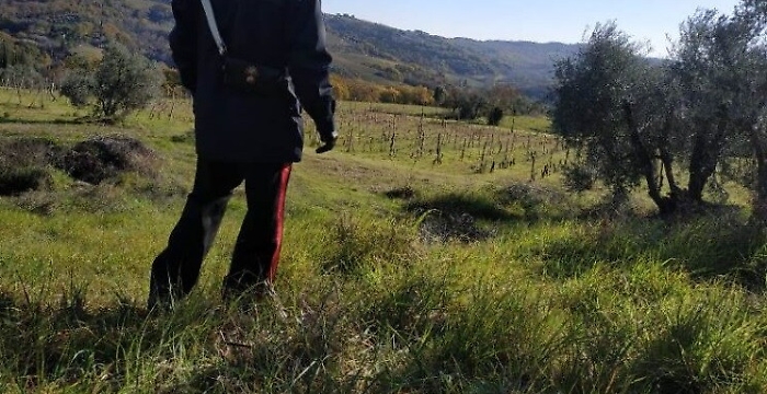 170356405-1d25ede6-1b38-4f5c-9b75-577c57c6d3e7