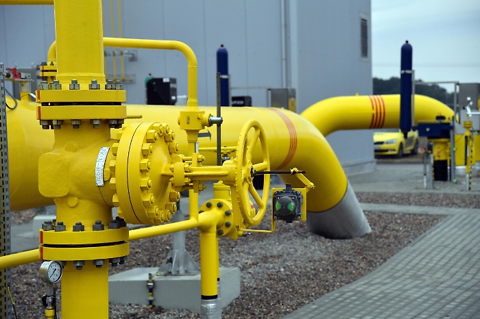 2022-11-03_103427611_1667479137494