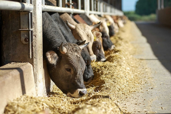 2022-11-03_103428102_1667480393970