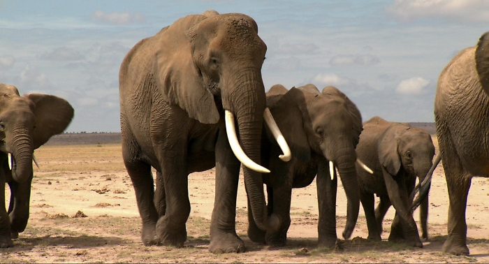 2022-11-04_104445119_1667569559797