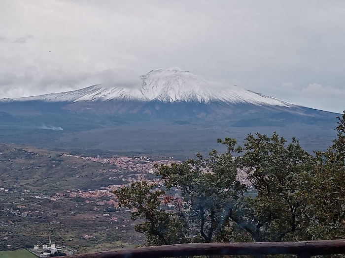 082238654-24d4a57c-9622-4966-a0f1-1c6d2e93e699