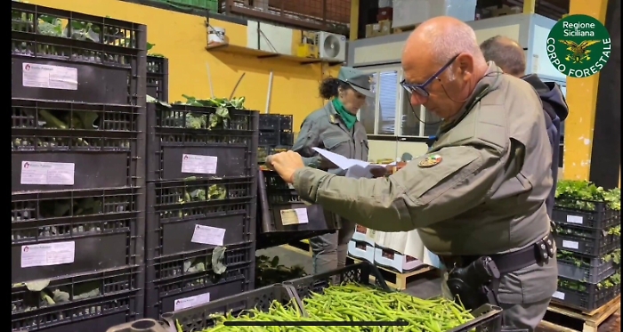 145804730-14c0622c-06c8-4d08-a3a2-ac37400b820f