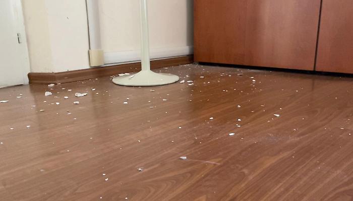 2022-11-10_110443736_1668098351499