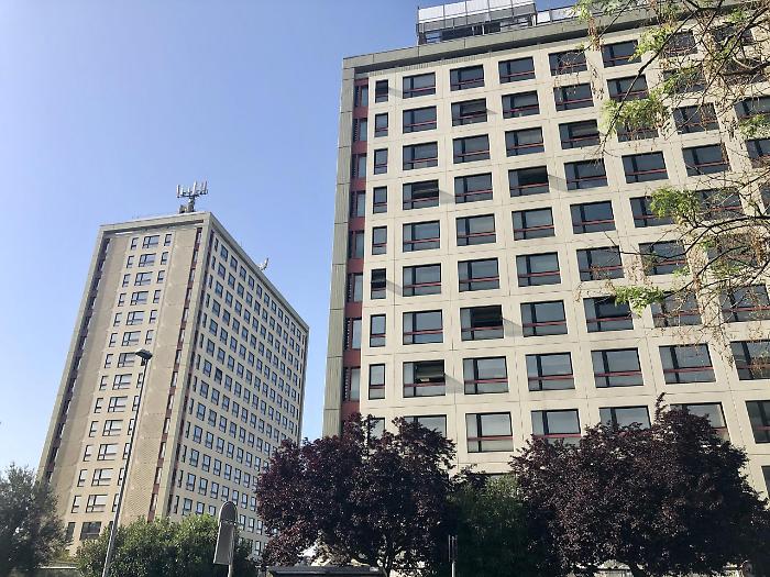 2022-11-10_110445233_1668101528706