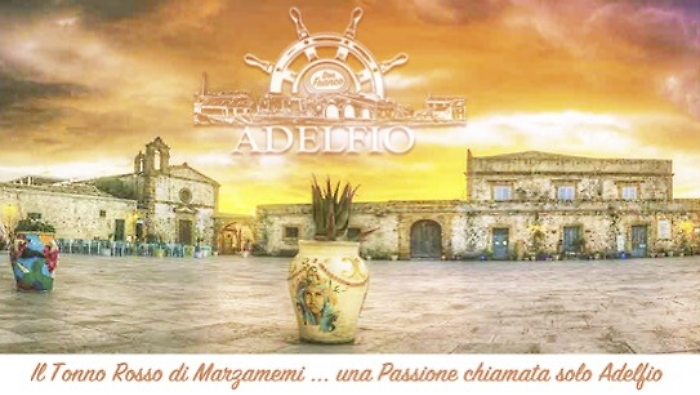 224253138-b82863a6-3592-49ae-9b2a-7a1f2042599d