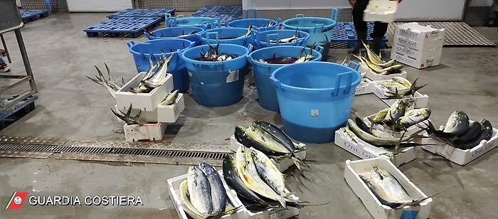 143916703-5ecd042f-d23c-4c6d-ac1c-e1929a421842