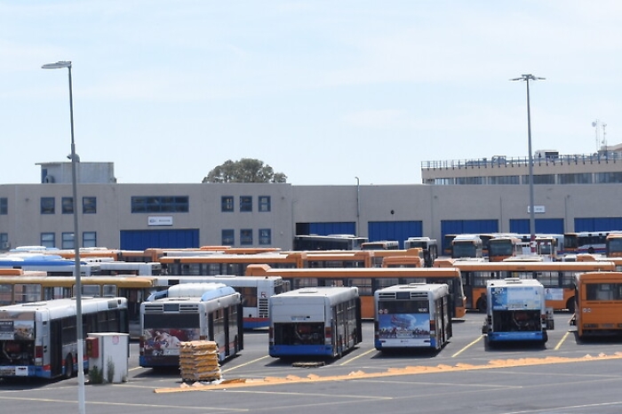 194055584-234a2846-8184-4b3d-b435-53ed0dc1fc8d