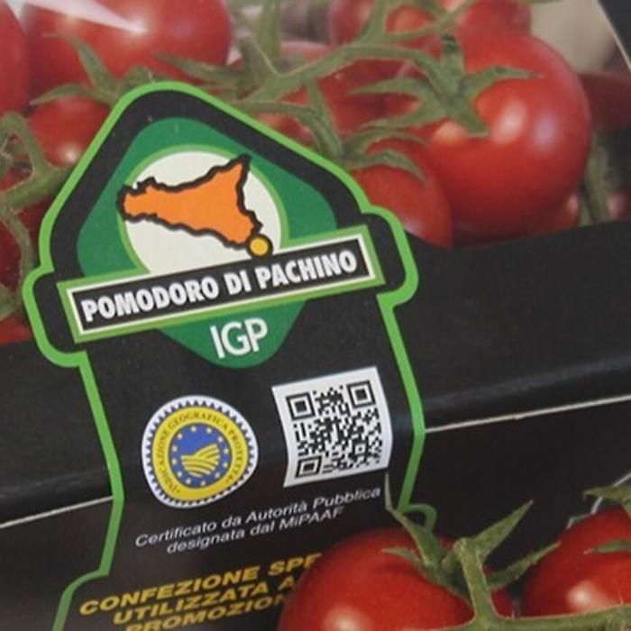 130751839-e6ed06f2-884a-427e-bc48-8b86748df029