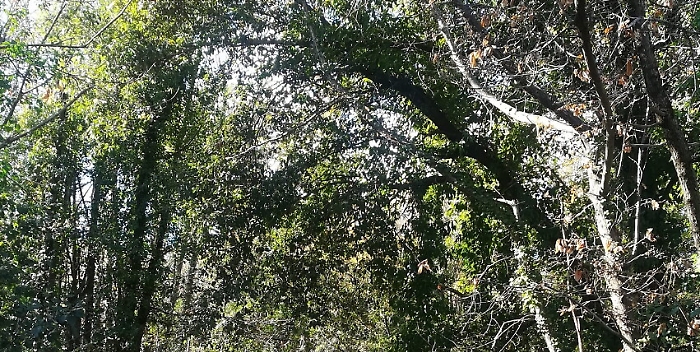 165547096-31fbd0f1-5a59-4b7e-afa2-782002034b46