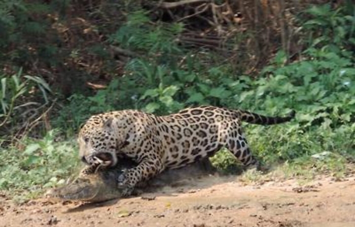 ADN20221116153946_1668610570153