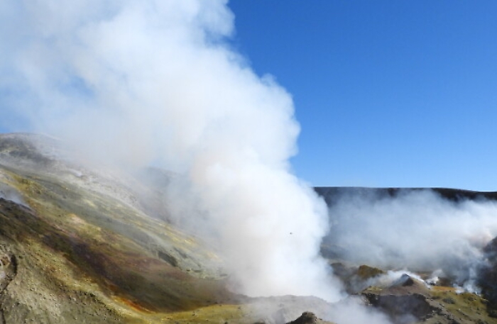 102141409-bc0c8768-faf4-4675-afd5-45ad45440542