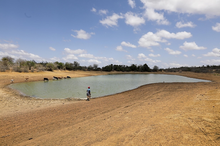 2022-11-19_119408105_1668861752806