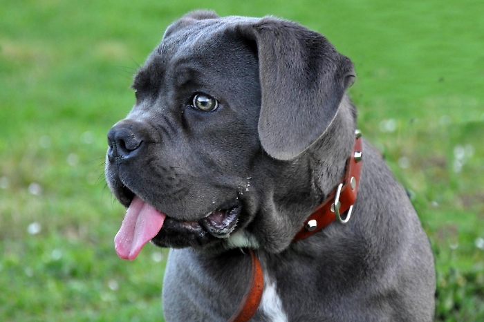 090429481-ee5a3469-8092-4ead-a818-193578d92626