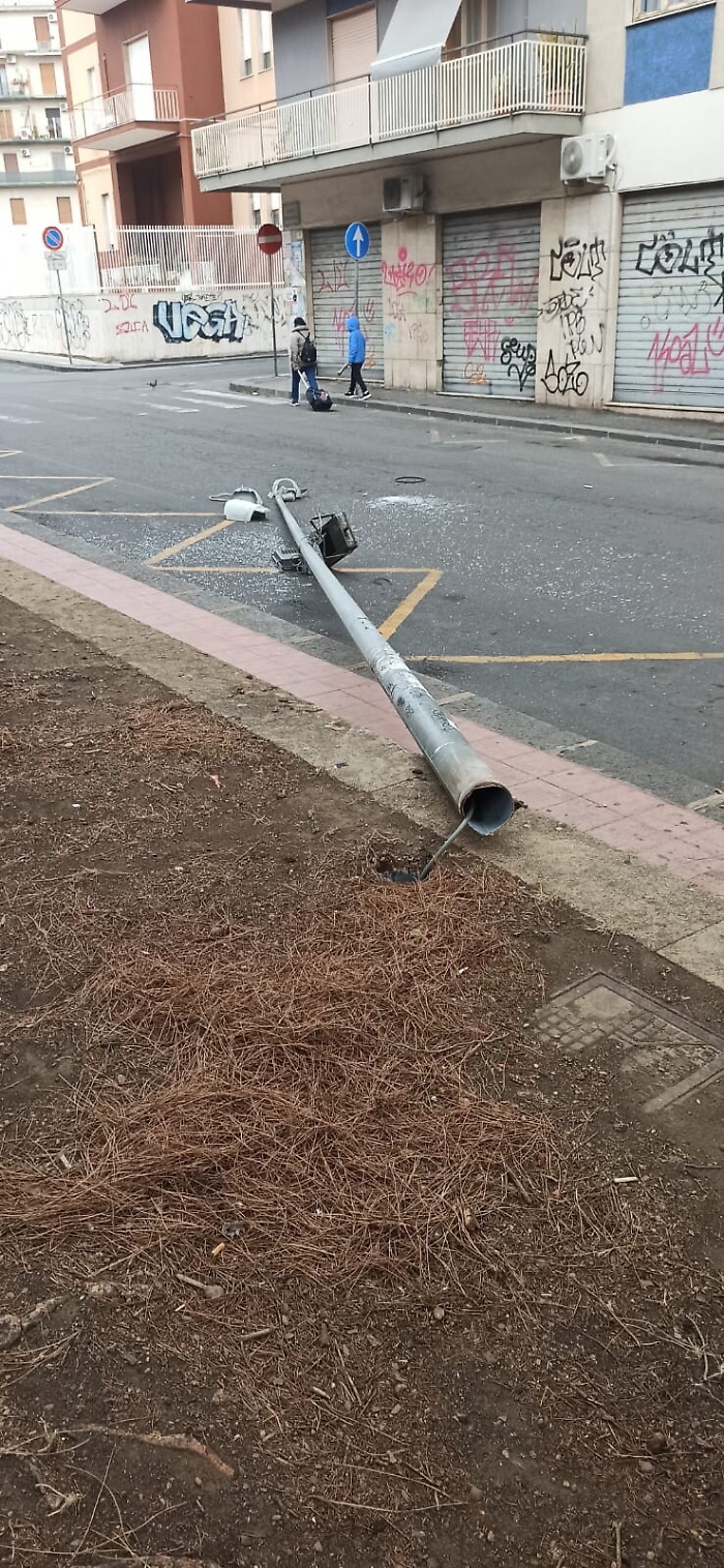 171700912-45cde93c-be90-4fca-9187-d0cecf9d1bdd