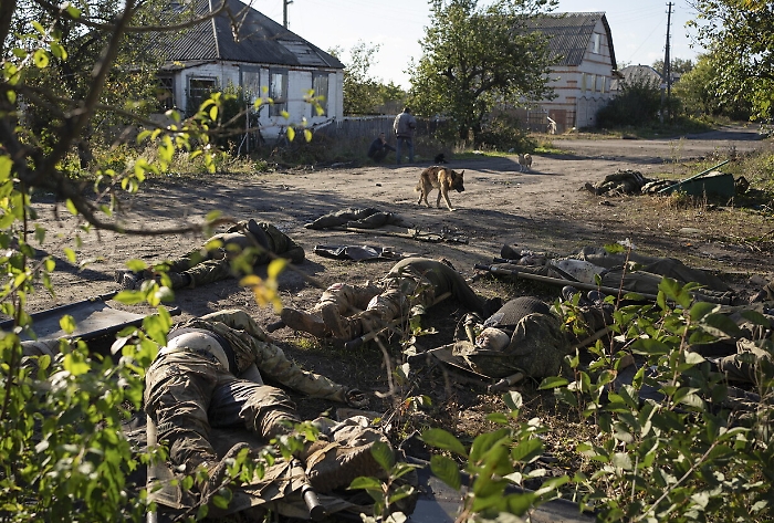 2022-11-22_122458334_1669112518247