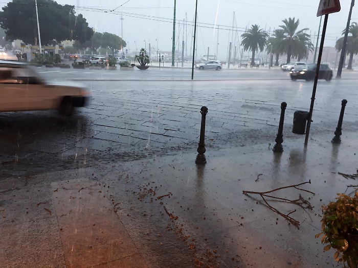 2022-11-22_122460991_1669117356484