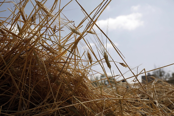 2022-11-22_122461395_1669118198033