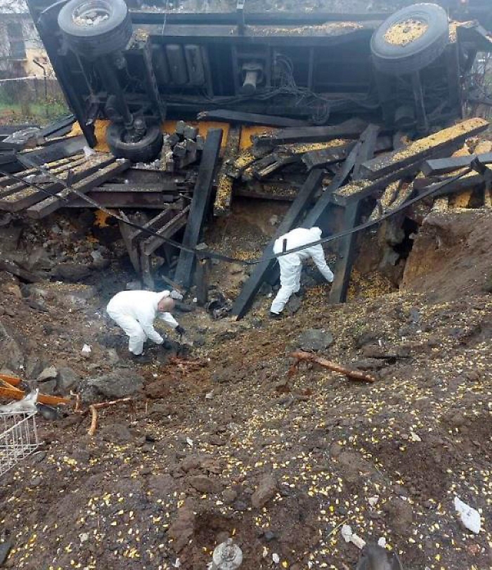 2022-11-22_122465329_1669126090517