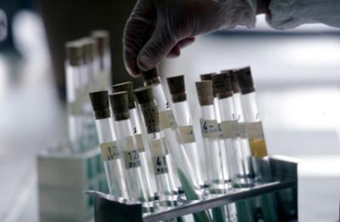 ADN20221123164329_1669218978996