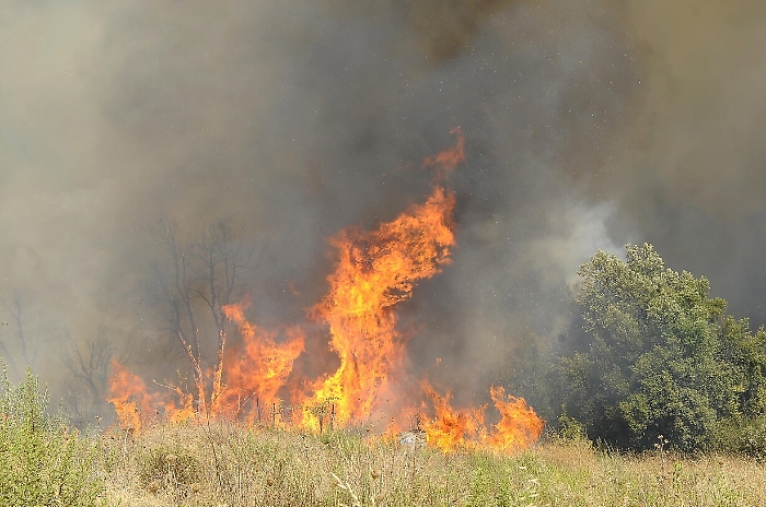 2022-11-24_124441301_1669301869843