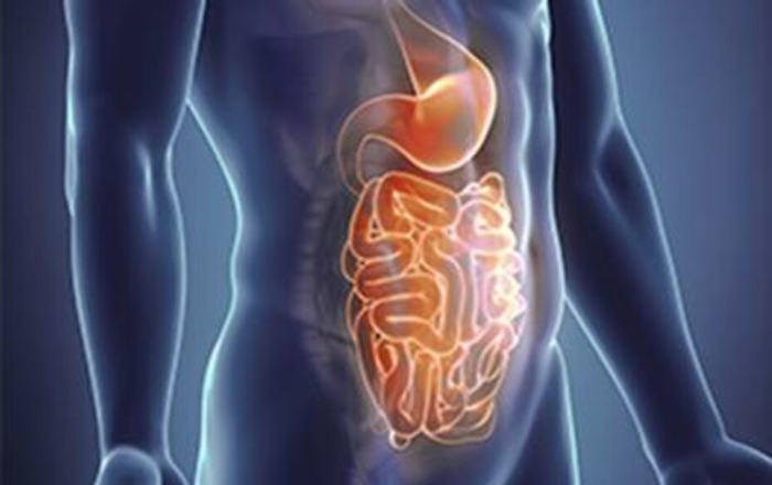 ADN20221124150507_1669299676619