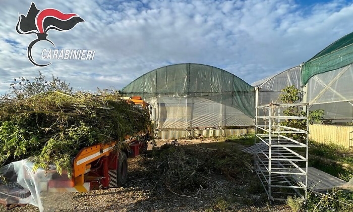 132323054-56cad008-5671-4439-bf1c-b9acfb3faa9b