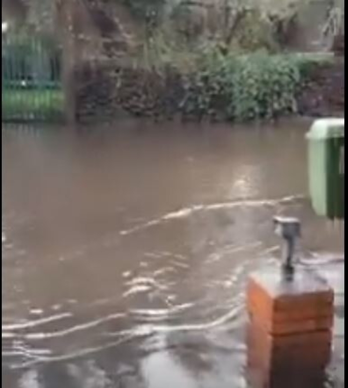 164819069-9b4128ba-f38b-494a-8b74-3faac3ca6277