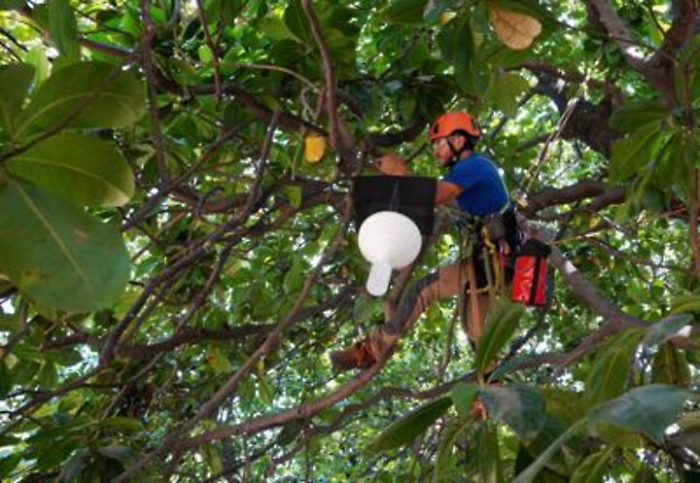 ADN20221128161247_1669648881019