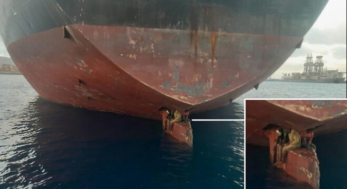 170434835-99509771-34dc-403f-ac73-b704ad2a28d5