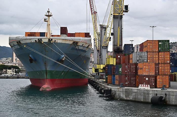 2022-11-30_130413784_1669802535457