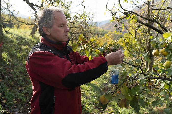 2022-11-30_130426487_1669825724895