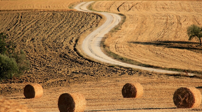 211028860-6c5fbfaa-26d4-48fe-a576-68f8e2ed16f7