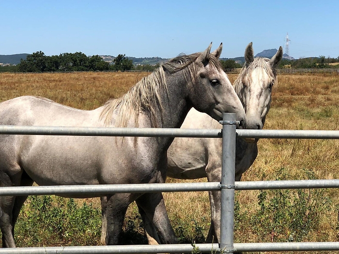 2022-12-01_101428135_1669895806660