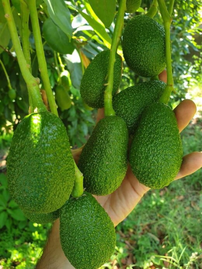 113412965-946506db-7055-4a3a-b1ba-b4972a1dcae3