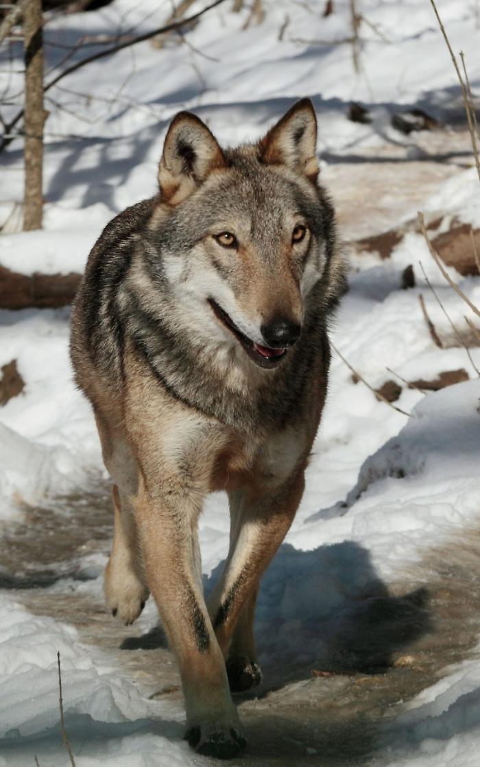 2022-12-05_105452987_1670267691645