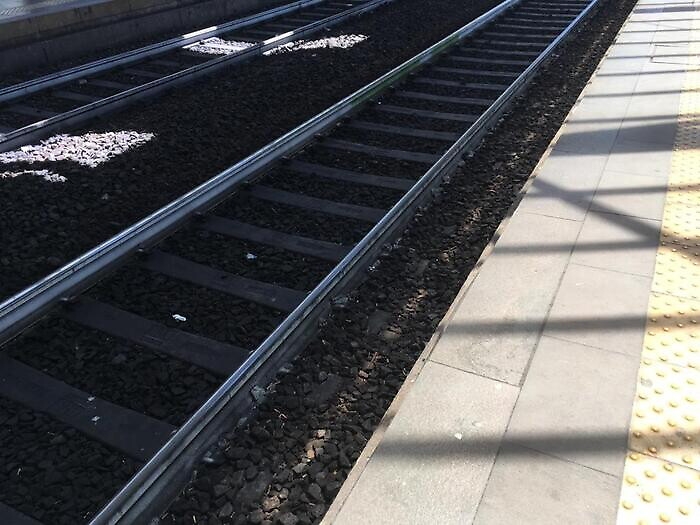 110905156-5e94d5e4-4e81-4e79-9b86-f8d94c3a9ef8