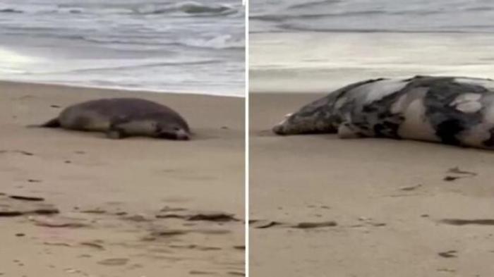 ed66a5fa-74c0-11ed-96ff-6cd26eb698d3_1670320211637